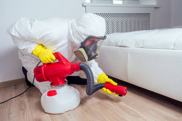 Best Pest Control Treatment  in Guttenberg, NJ